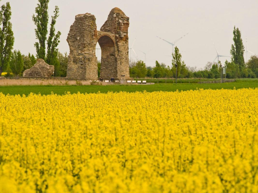 Orth an der Donau旅游攻略图片