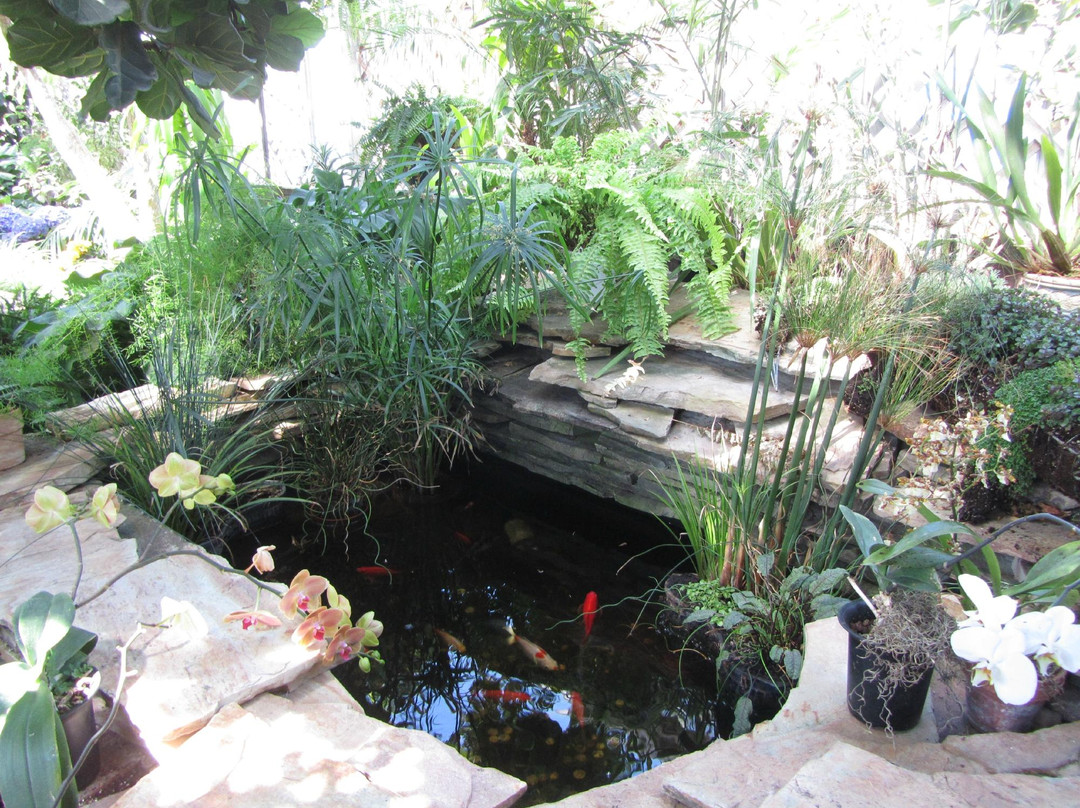 Regina Floral Conservatory-里贾纳必去景点