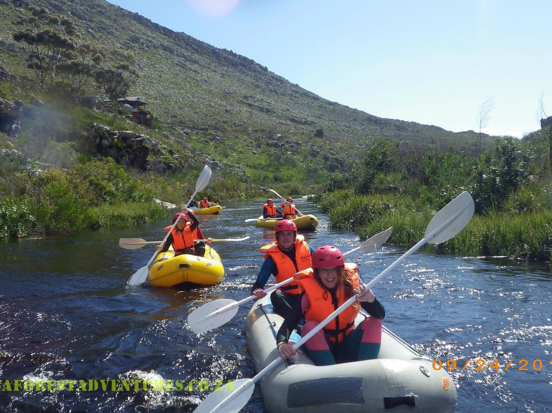 SA Forest Adventures Kleinmond-小月必去景点