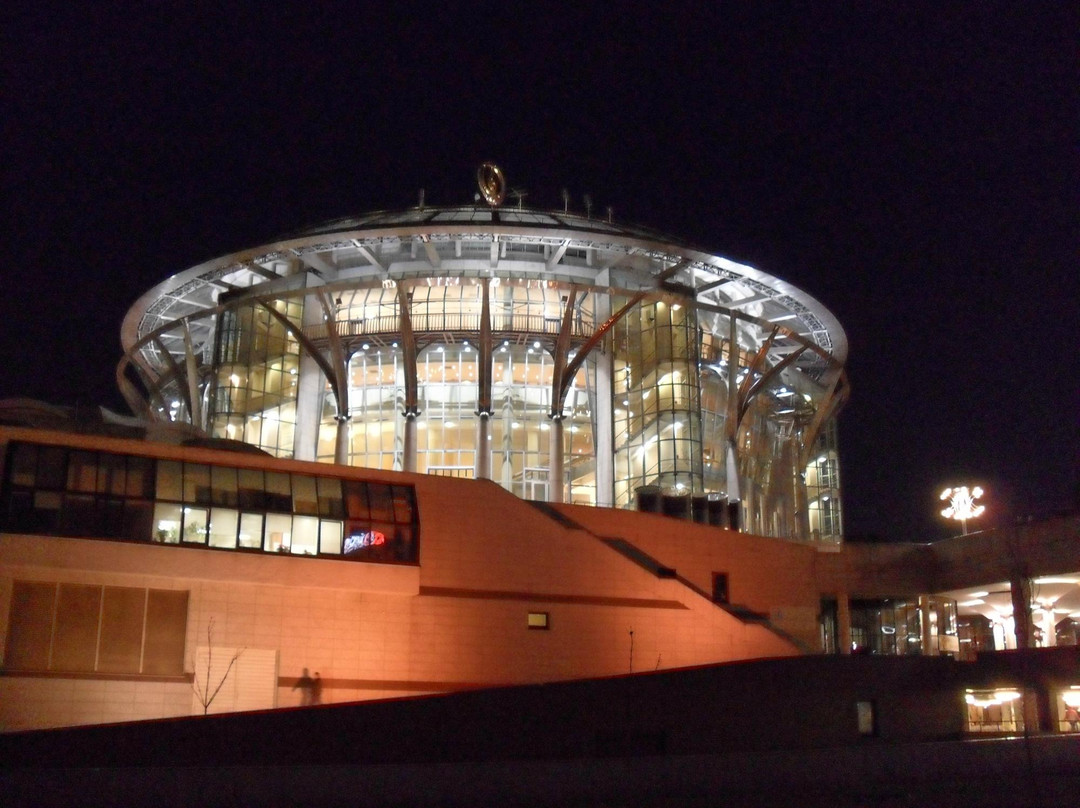 Moscow International House of Music Concert Center-莫斯科必去景点