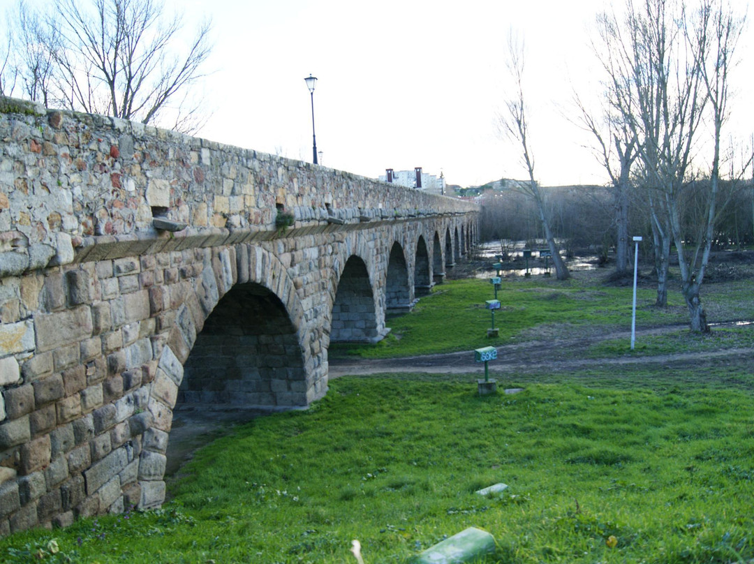 Puente Romano-萨拉曼卡必去景点