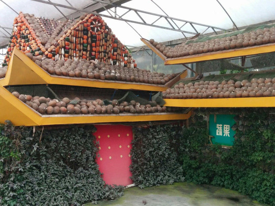 广州蔬菜公园-广州市必去景点