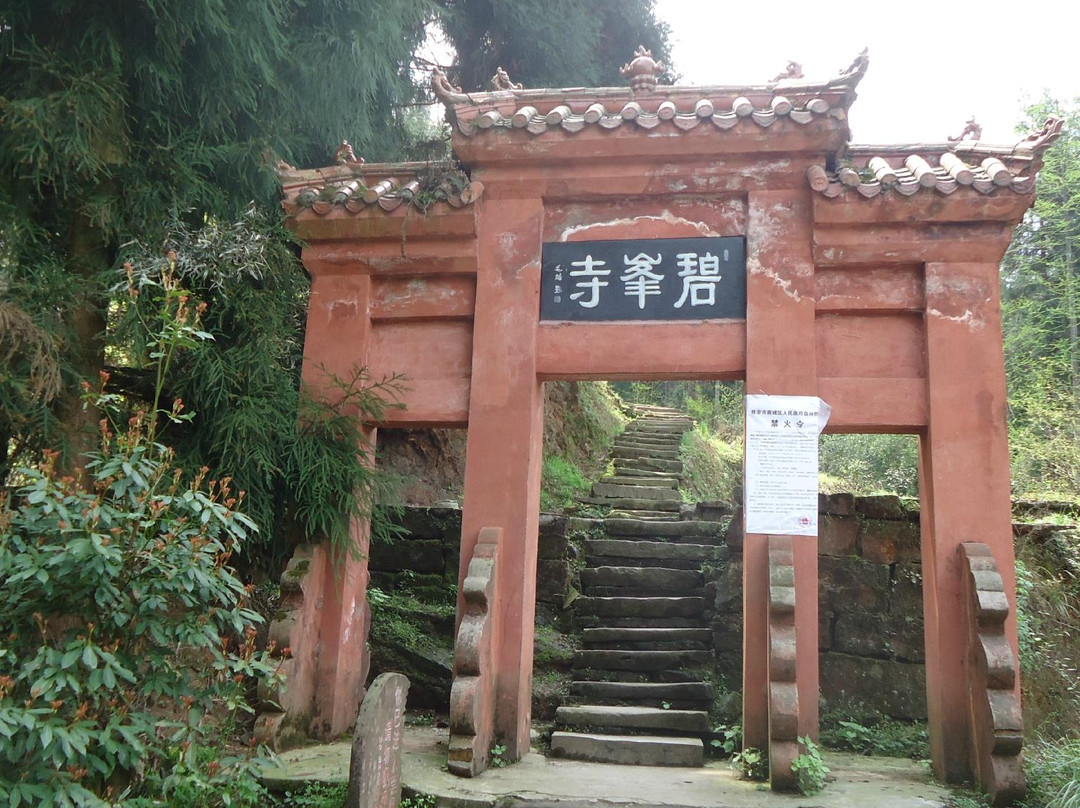 碧峰峡熊猫基地-雅安市必去景点