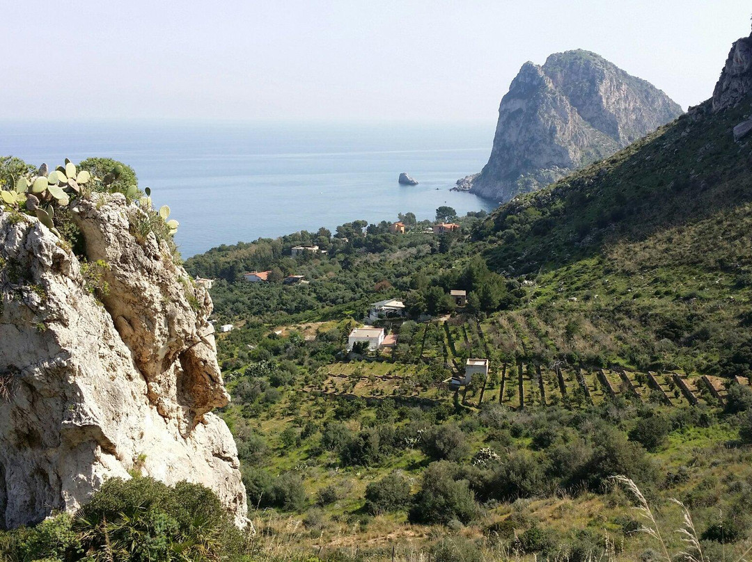 Parco Monte Catalfano景点图片