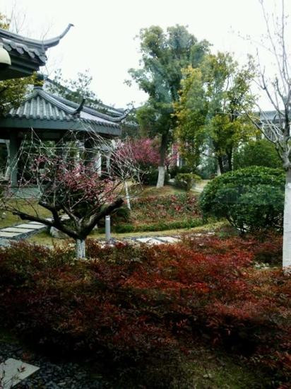 苏州托尼洛兰博基尼书苑酒店主图