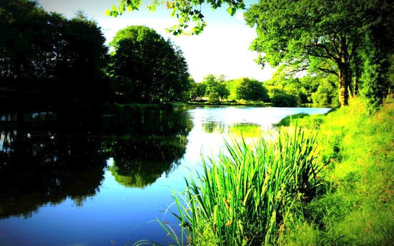 Silfiac旅游攻略图片