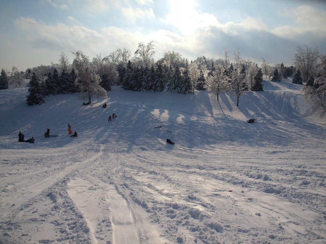 Hy Hope Farm-Ashburn必去景点