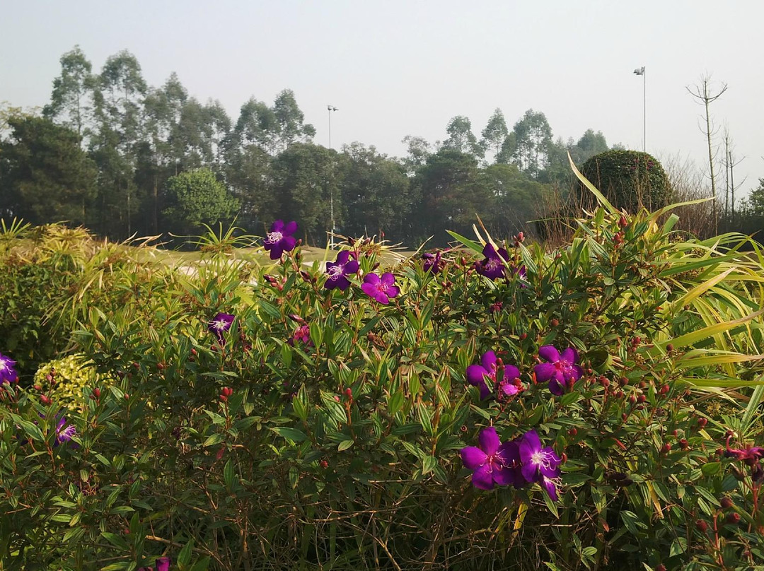 南宁荔园山庄主图