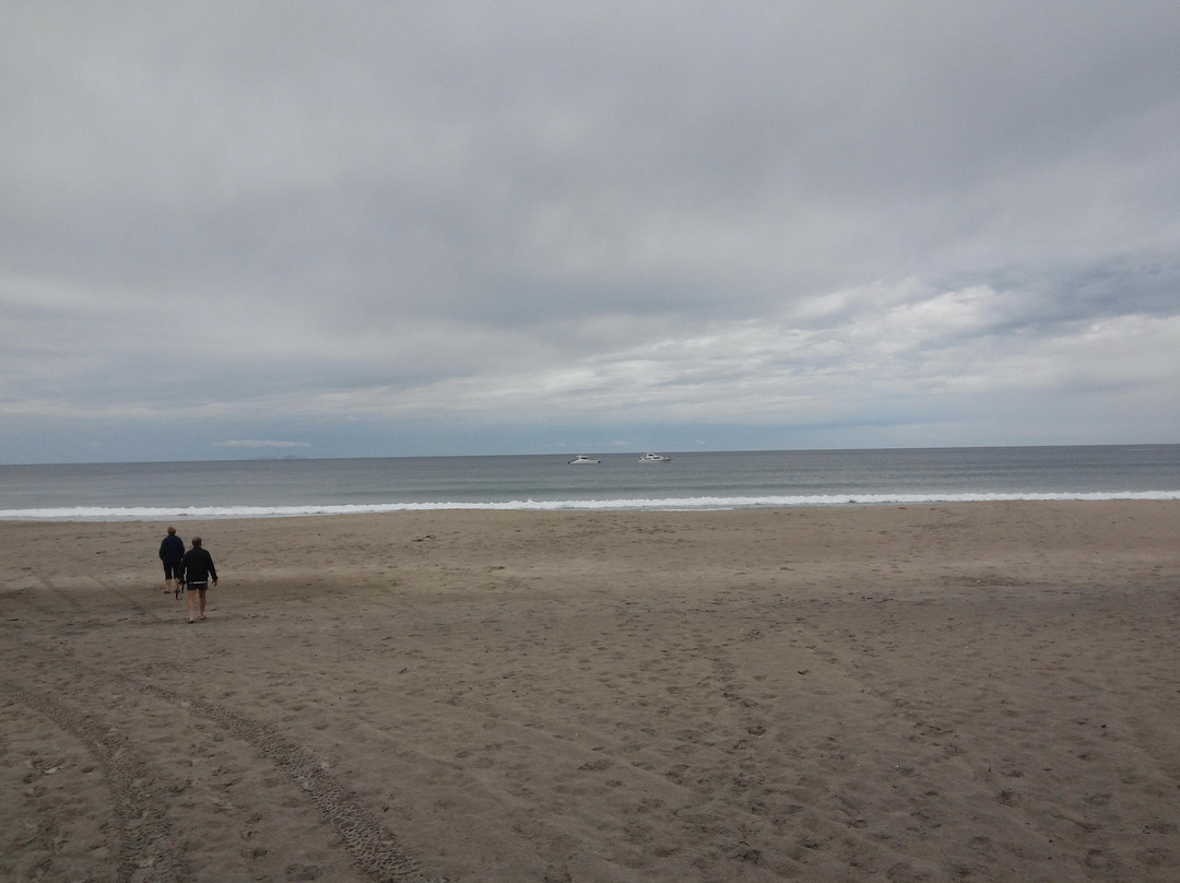 Ocean Beach景点图片