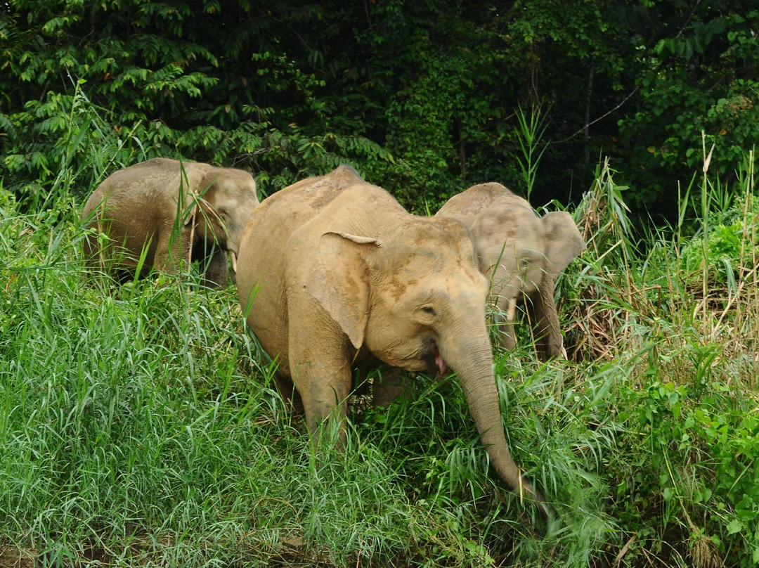 Sandakan Mainland-山打根必去景点