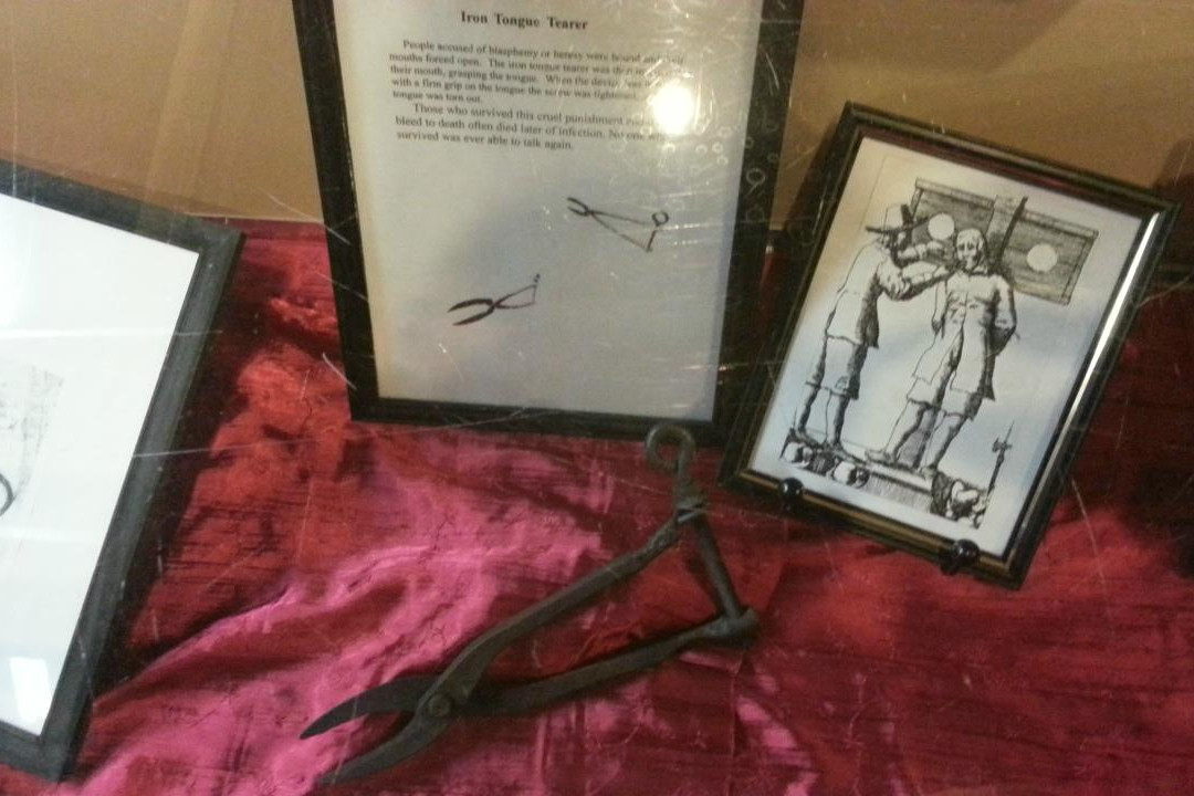 Curiosity Museum-奥尔顿塔必去景点