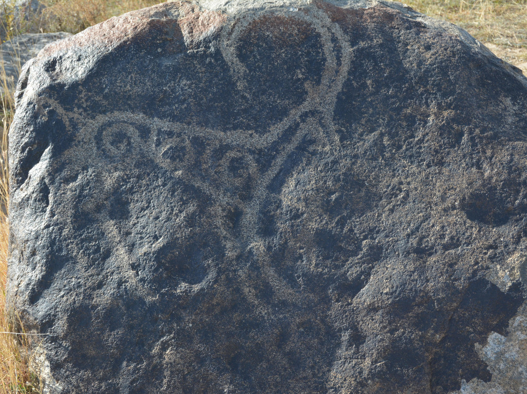 Museum of Petroglyphs-乔尔蓬阿塔必去景点
