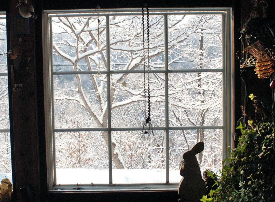 Pension Robin
