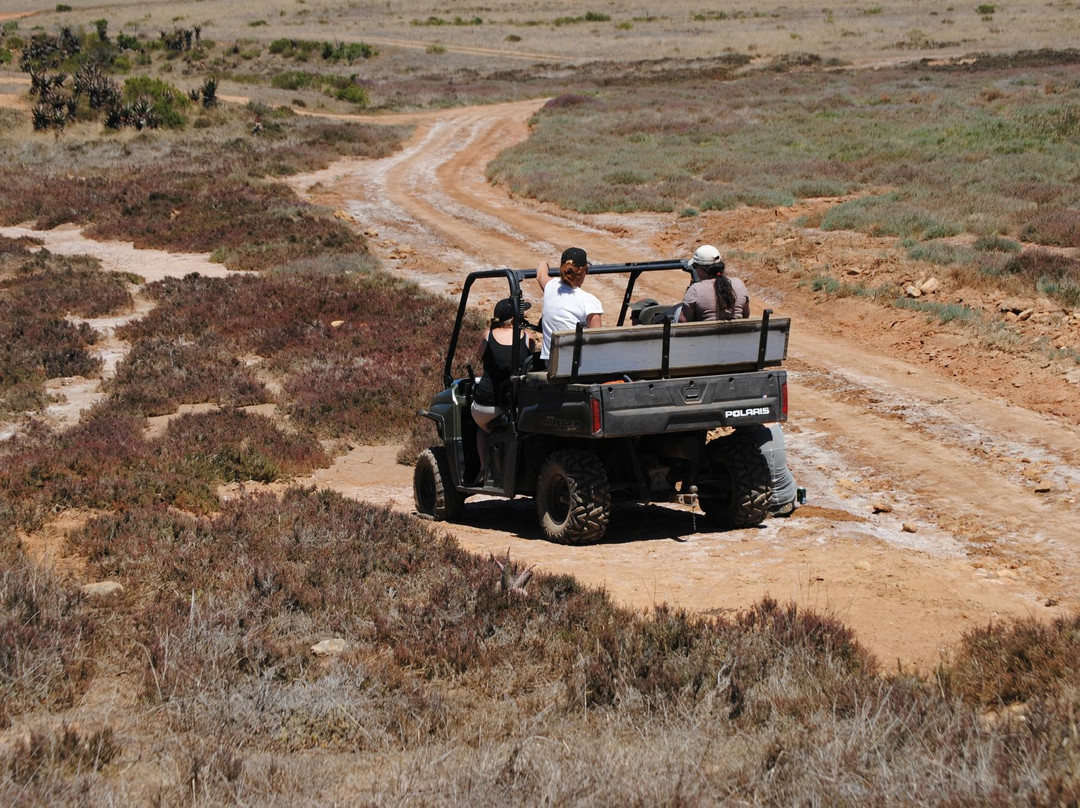 Umkhondo Big Five-阿尔贝蒂娜必去景点