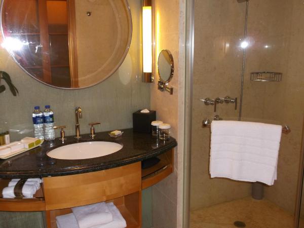 上海東錦江希尔顿逸林酒店-浴室