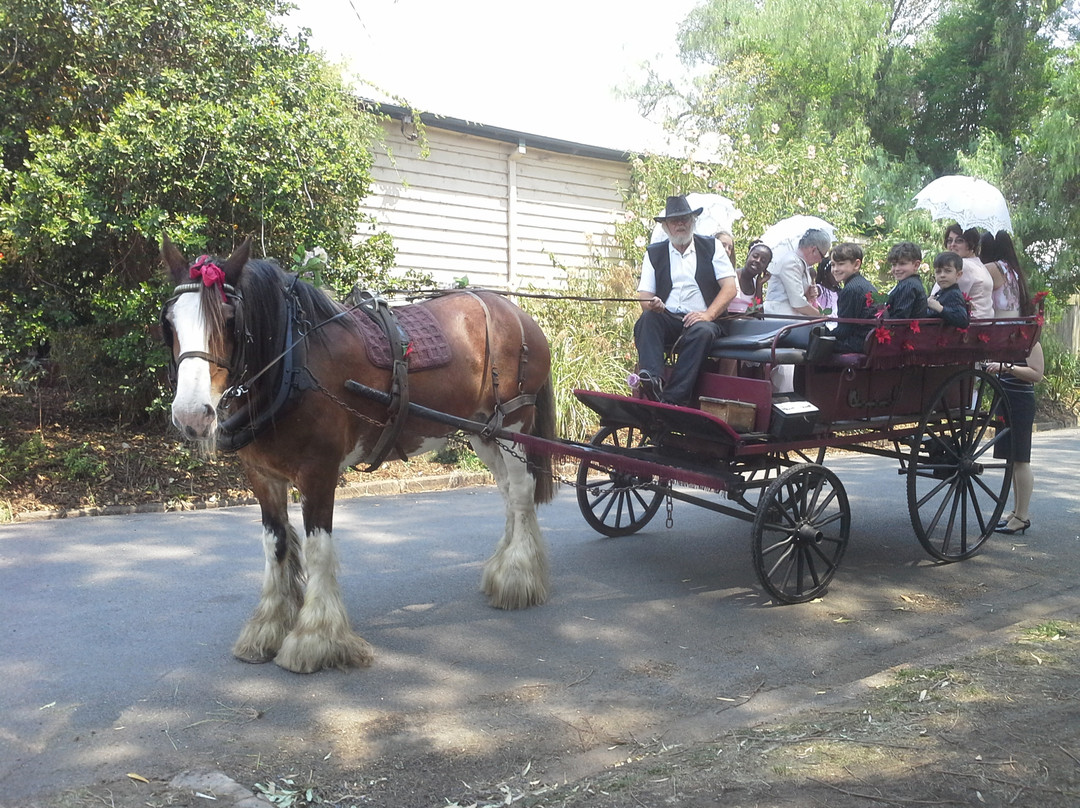 Morpeth Horse Carriage景点图片