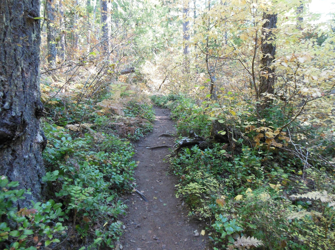 Falls Creek Falls-Carson必去景点