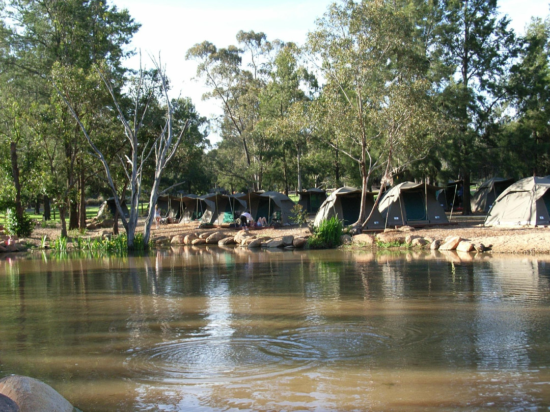 Taronga Western Plains Zoo-达博必去景点