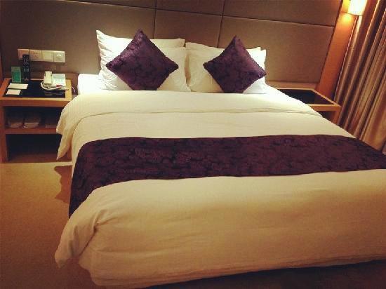 武汉帝盛酒店(江汉路步行街汉口江滩店)-客卧