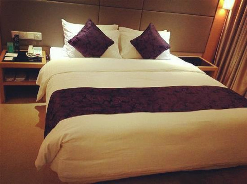 武汉帝盛酒店(江汉路步行街汉口江滩店)主图