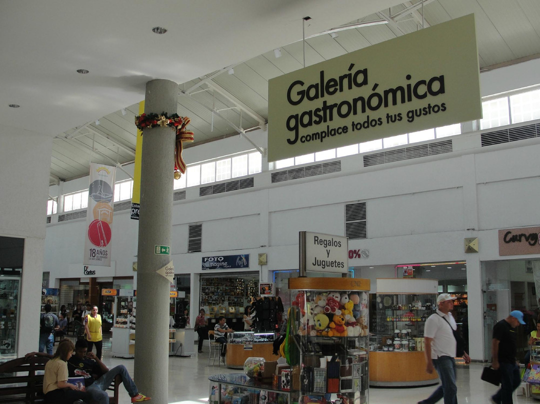 Ciudad Comercial Las Trinitarias-巴基西梅托必去景点