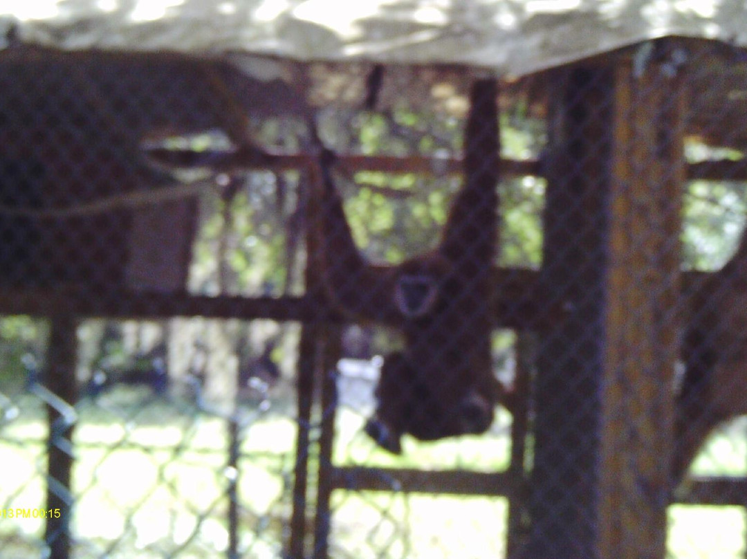 Lions, Tigers & Bears-阿卡迪亚必去景点