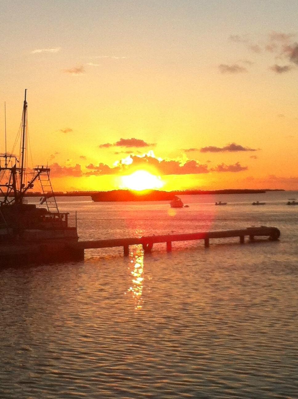 Weech's Bimini Dock and Bay View Rooms-酒店景观