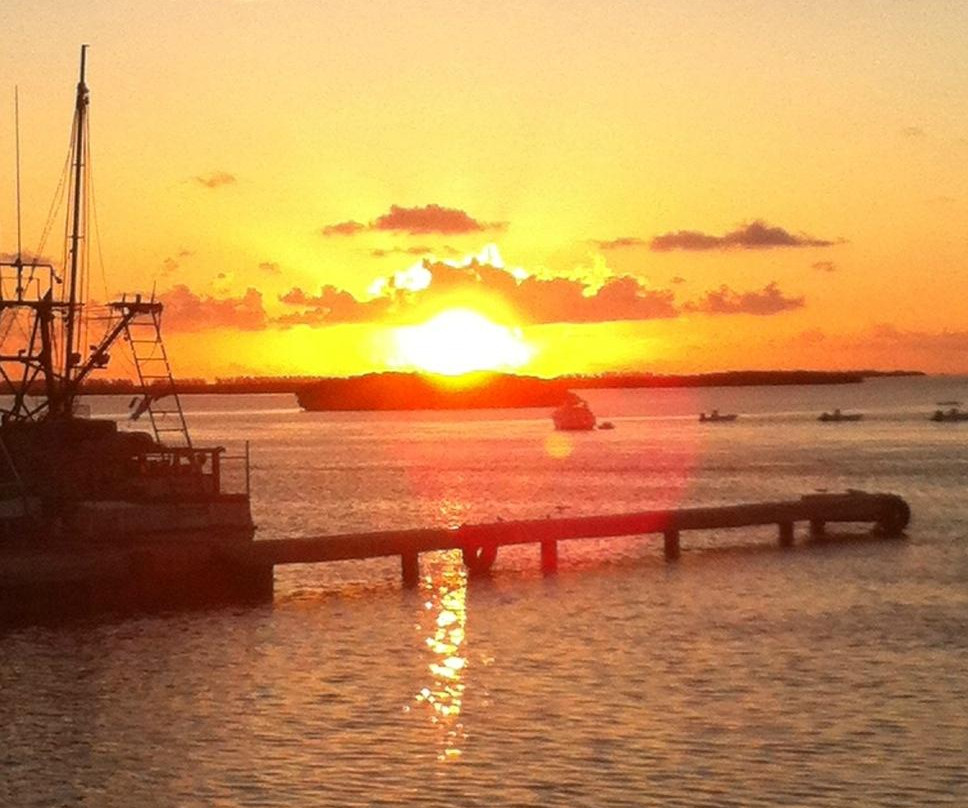 Weech's Bimini Dock and Bay View Rooms主图