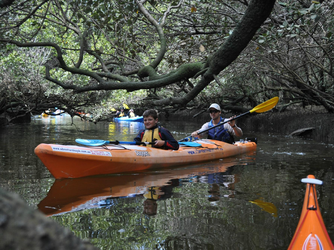 Adventure Kayaking SA-阿德莱德必去景点