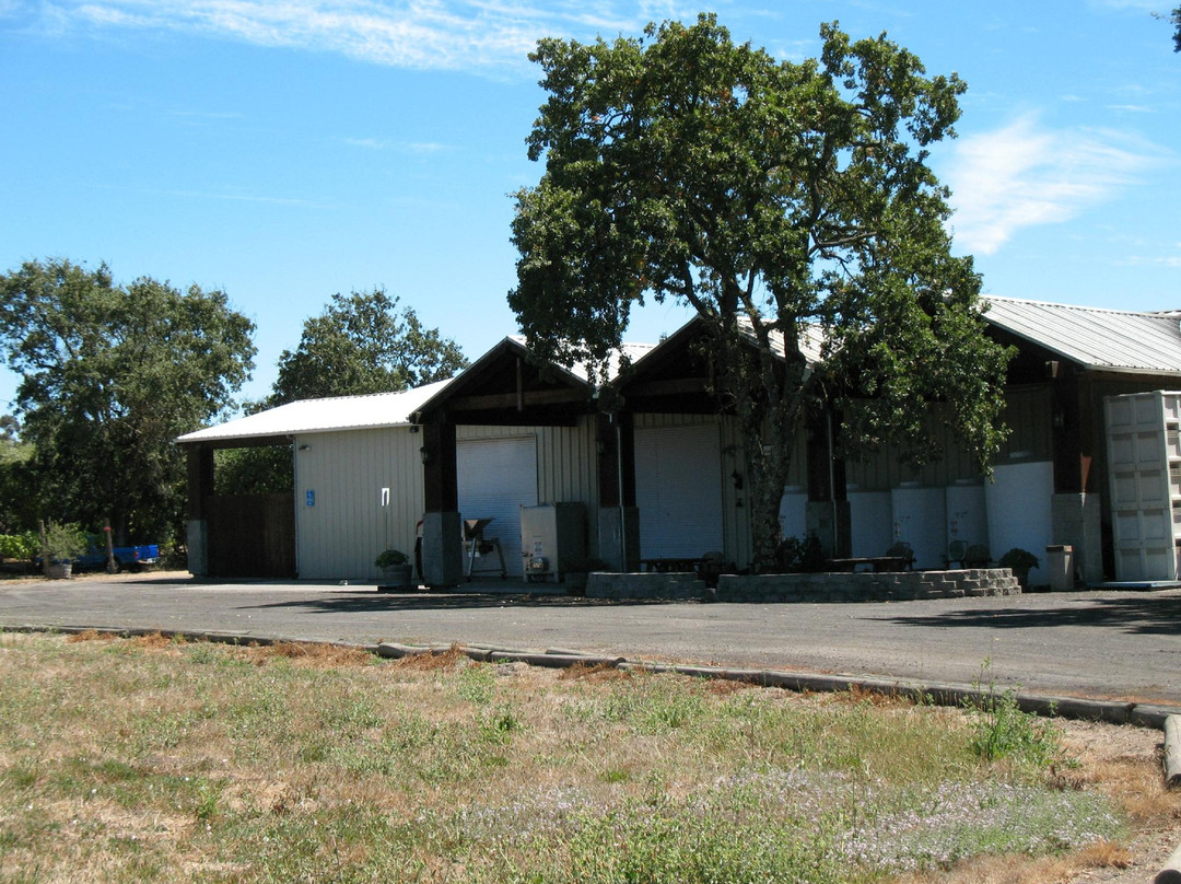 Loxton Winery景点图片