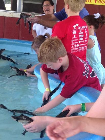 Insta-Gator Ranch & Hatchery-卡温顿必去景点