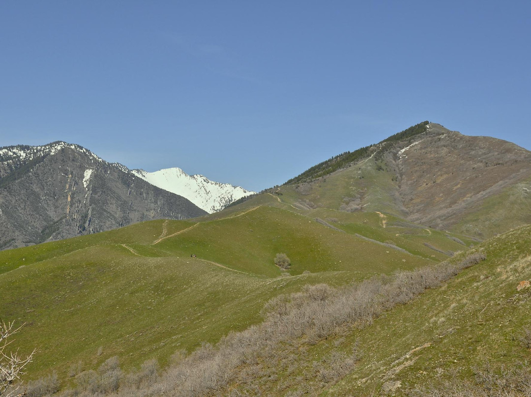 City Creek Canyon-盐湖城必去景点