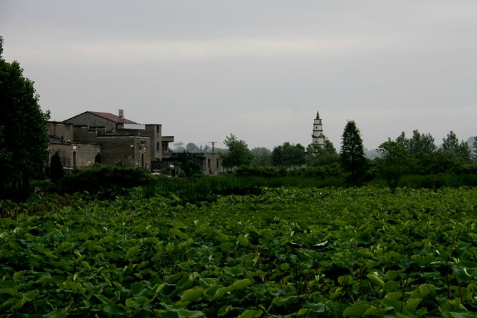 白马寨明清古建筑群-丰城市必去景点