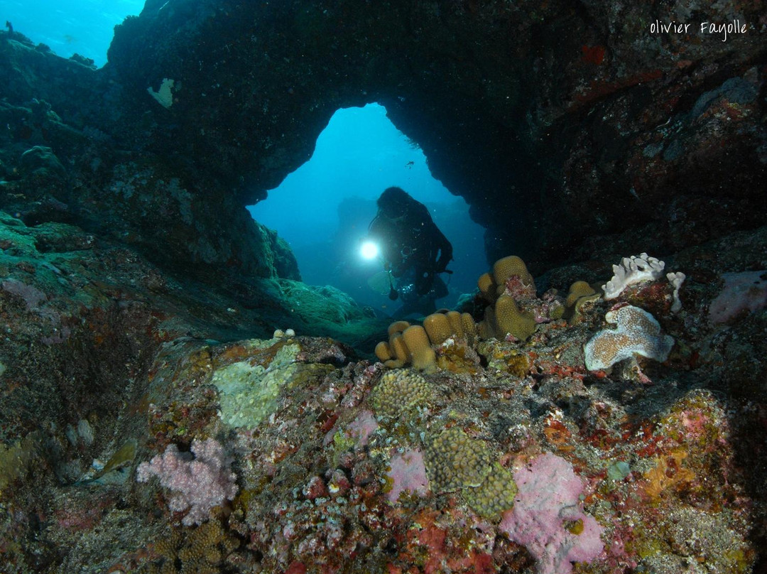 Just Diving景点图片