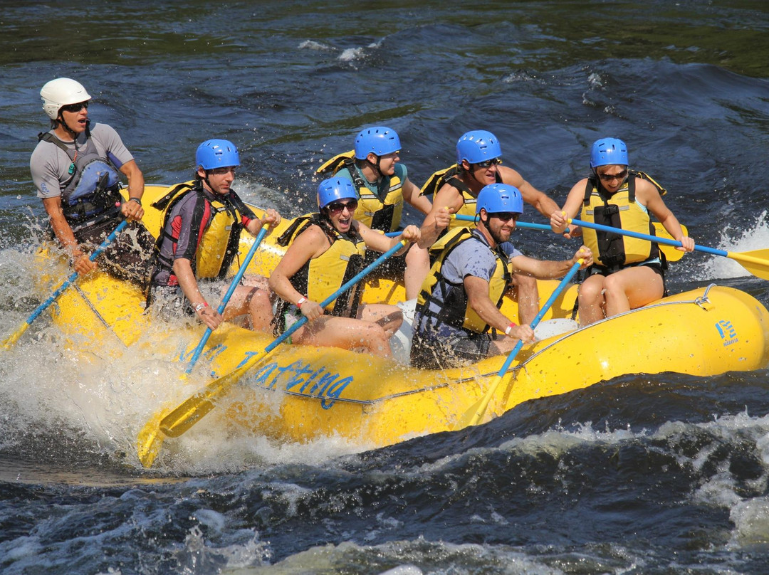 OWL Rafting-Foresters Falls必去景点
