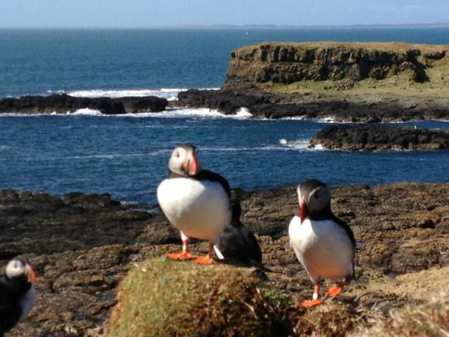 Druimard Country House主图