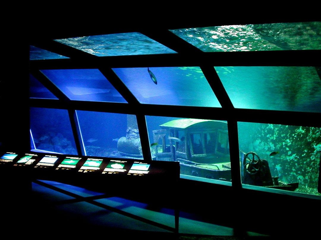Aquarium de la Réunion景点图片