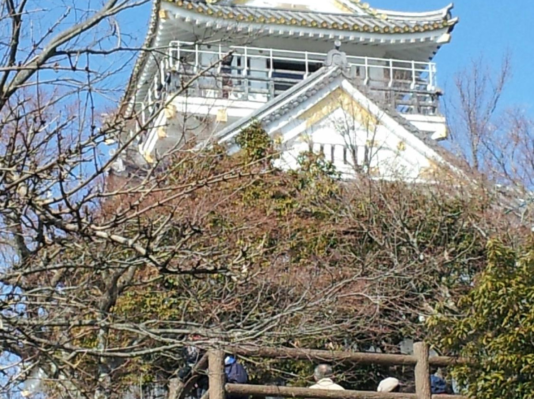 岐阜城（稻叶山城）-岐阜市必去景点