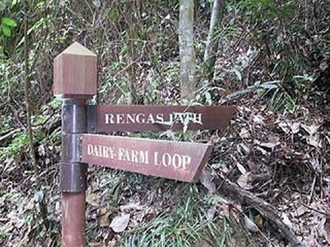 武吉知马自然保护区-新加坡必去景点