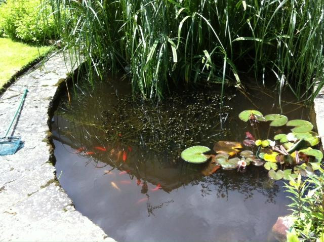 Kettle's Cottage主图