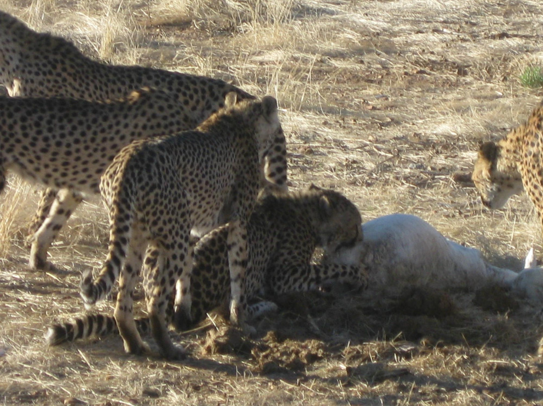 Discover Namibia Private Day Tours and Safaris-斯瓦科普蒙德必去景点