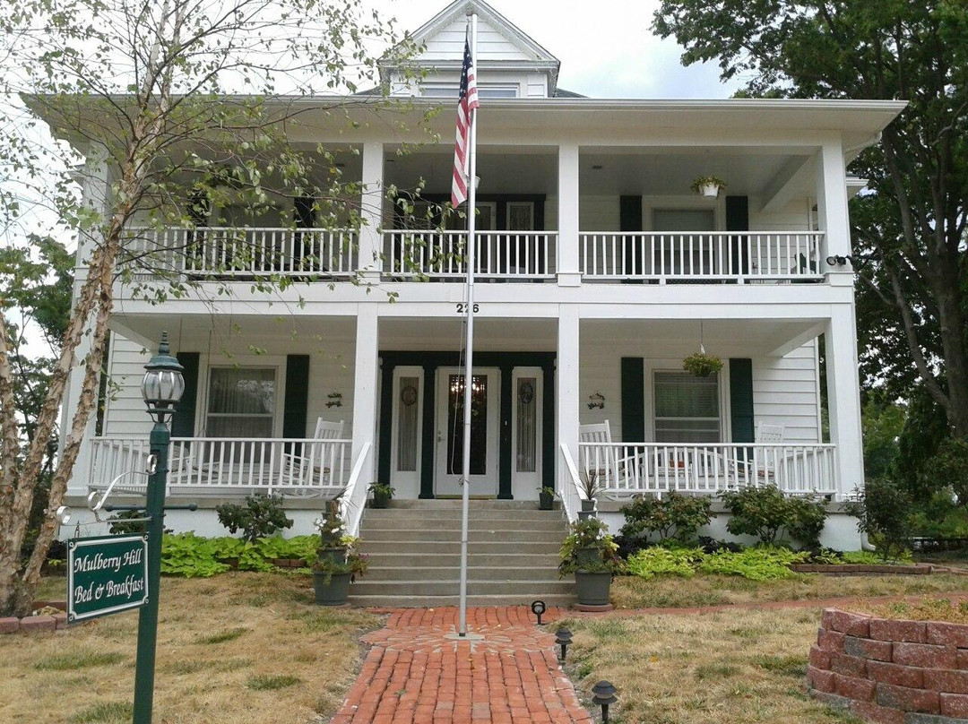 Mulberry Hill Bed and Breakfast主图