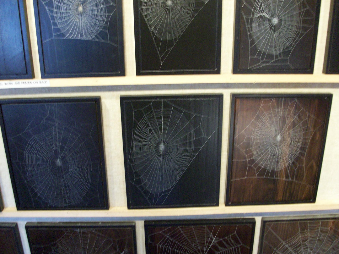 Knight's Spider Web Farm-Williamstown必去景点