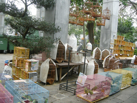 园圃街雀鸟公园-香港必去景点