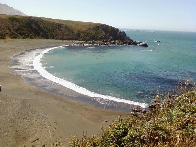 Sonoma Coast State Beach景点图片