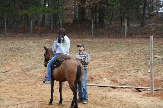 Hacienda la Pecosa: Paso Fino Show Horses-Bethlehem必去景点
