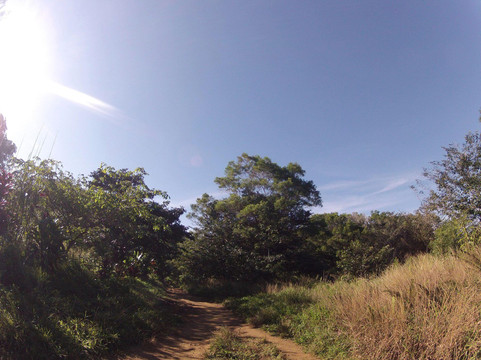 双子瀑布-夏威夷大岛必去景点