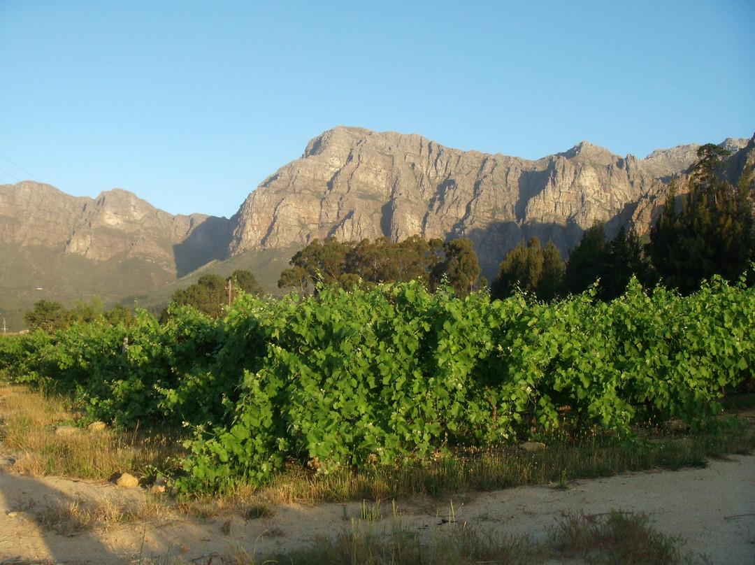 Mellasat Vineyards-帕尔必去景点