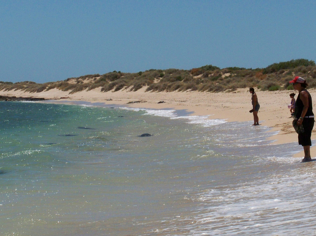 Ningaloo Centre-埃克斯茅斯必去景点