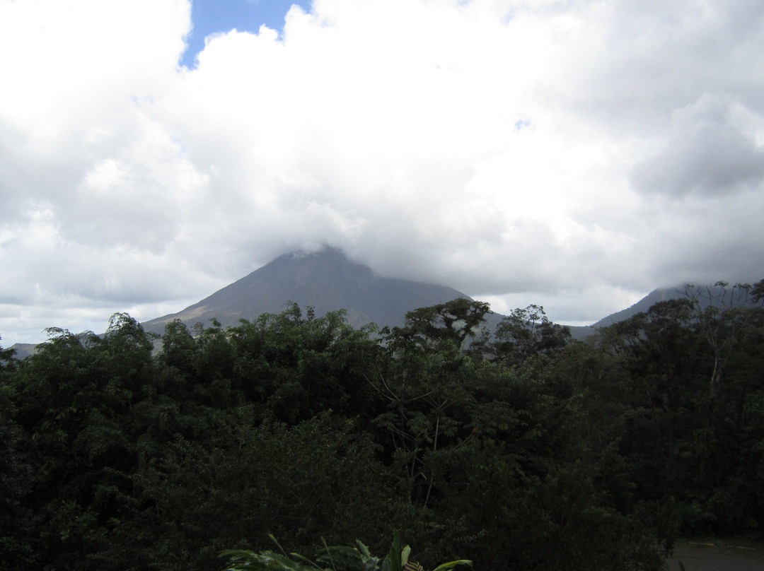 Sky Adventures - Arenal Park景点图片